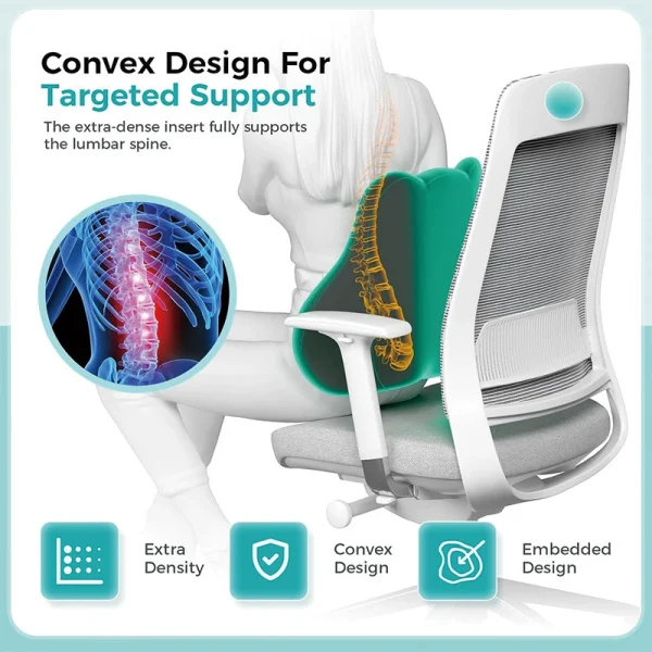 Amazon Cross-Border Memory Foam Lumbar Support Pillow for the Lower Back and Neck – Office, Car, and Wheelchair Cushion – Back Support Pillow