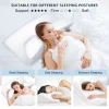 O1CN01J6uEur2I9LpmKPrX5_!!2816569243-0-cib.jpg_ Memory Foam Pillows, Side-Sleeping Pillows, Space-Age Foam Pillows, Cervical Pillows, Slow-Rebound Pillows, High Pillows, Non-Sagging Neck Support Pillows – Wholesale