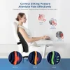 Memory Foam Lumbar Support with Adjustable Straps to Relieve Lower Back Pain—Ideal for Cars, Offices, and Home Use—Black