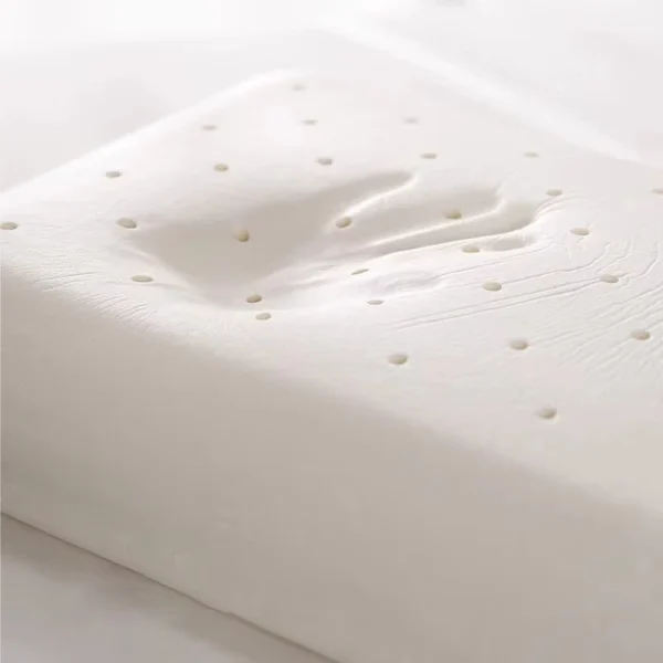 O1CN01lBoL0i1s7MEa9ny8K_!!2220254235719-0-cib.jpg_ Wholesale Slow-Rebound Memory Foam Pillows: Cervical Support Pillow Inserts for Single-Person Home Use – Cross-Border Wholesale