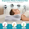 O1CN01pNjUVT1s7MEhdwlFC_!!2220254235719-0-cib.jpg_ Ergonomic Side-Sleeping Pillow with Neck Support, Memory Foam, Wholesale Pillow
