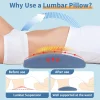 Ergonomic Lumbar Support Pillow for Lying Flat, Lumbar Support for Sleeping, Lumbar Pillow for Lumbar Spine and Herniated Disc, Specialized Lumbar Support Pillow for Sleep